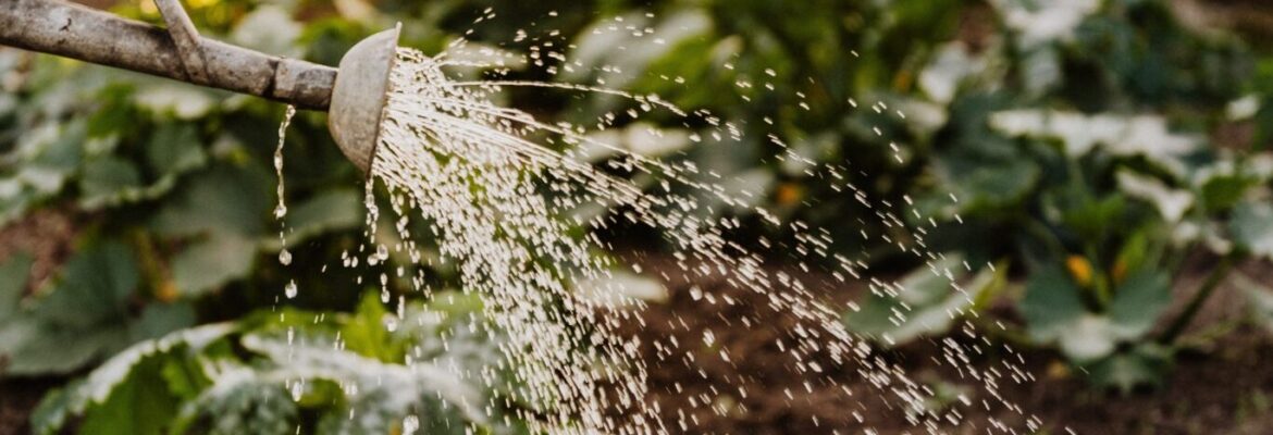 Les Jardins du Colibri