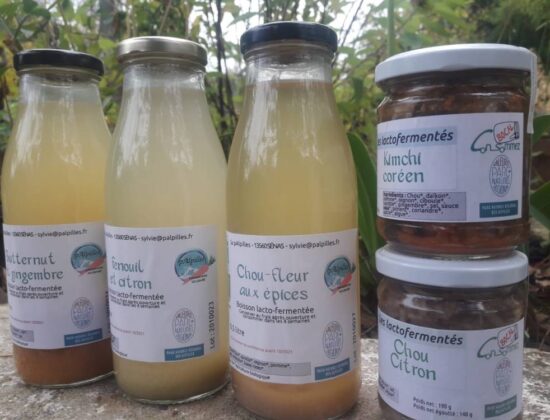 Sa pAlpilles – fruits et légumes lacto-fermentés
